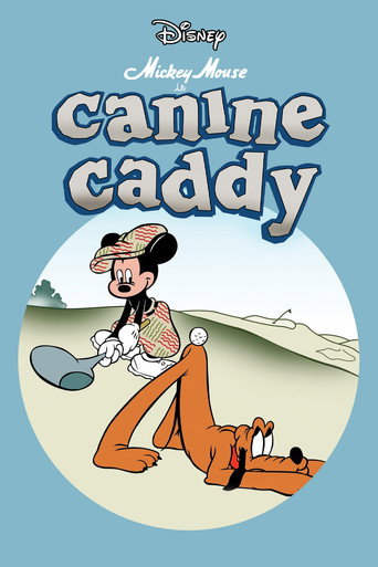 Un caddy canino