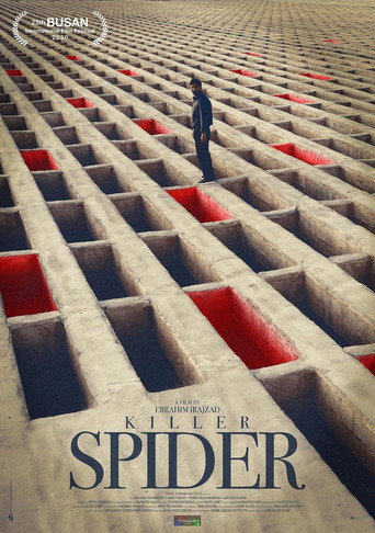 Killer spider