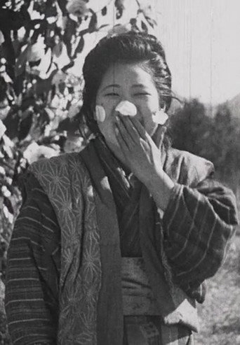 寒椿