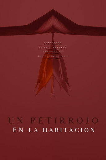 Un petirrojo en la habitación