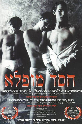 חסד מופלא