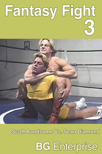Fantasy Fight 3