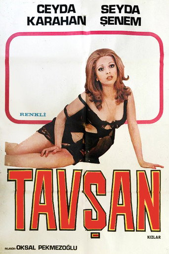 Tavşan Kızlar