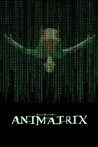 The Animatrix
