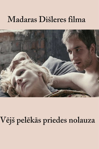 Vējš pelēkās priedes nolauza