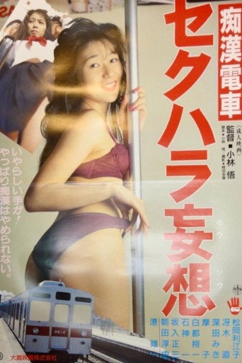 痴漢電車　セクハラ妄想
