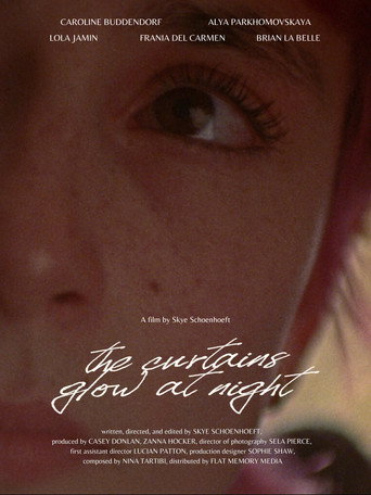 The Curtains Glow At Night