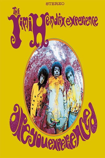 Are You Experienced: An Inside Look