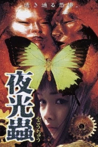 夜光蟲