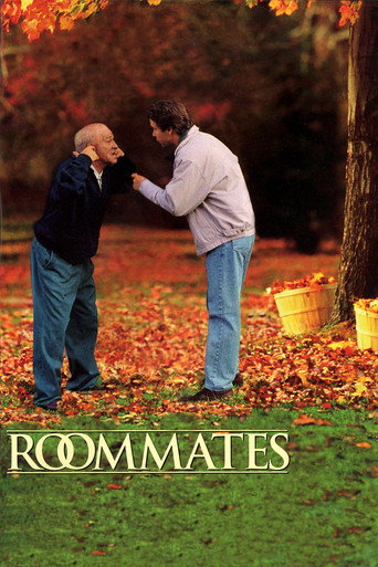 Compañeros de habitación