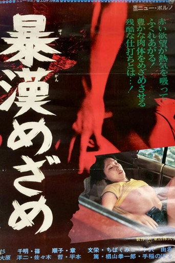 暴漢めざめ