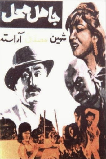جاهل محل