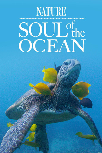 La magia de los océanos