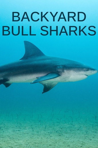 Tiburón toro invasor