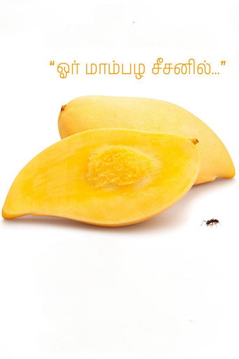 ஓர் மாம்பழ சீசனில்