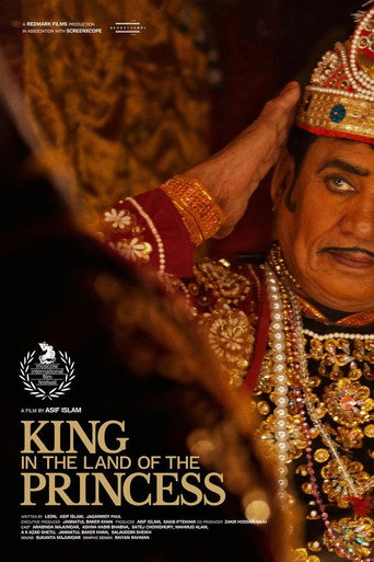 King in the Land of the Princess