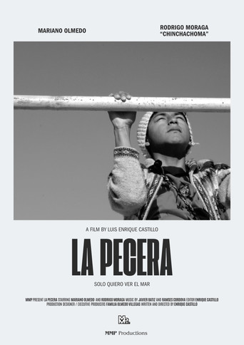 La Pecera