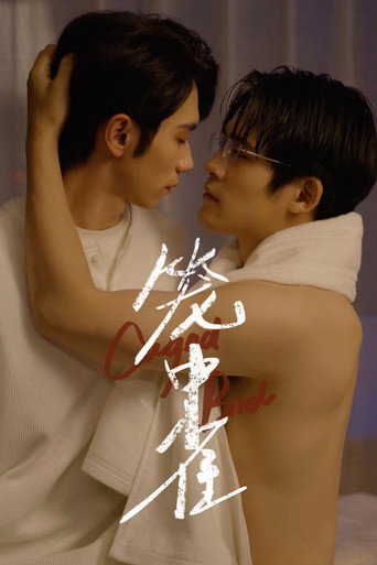 笼中雀