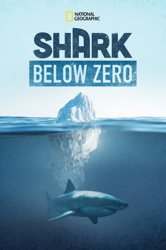 Tiburones bajo cero