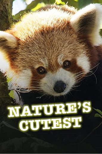 Animales adorables