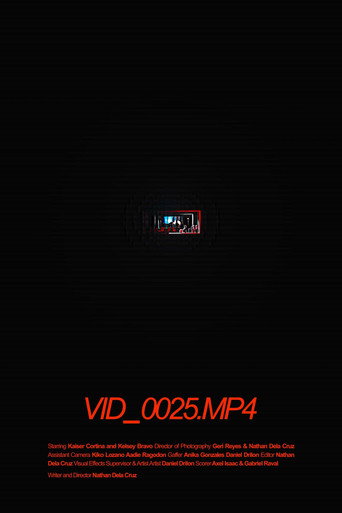 VID_0025.MP4