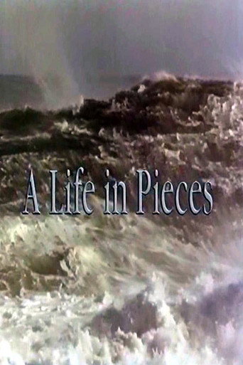 A Life In Pieces