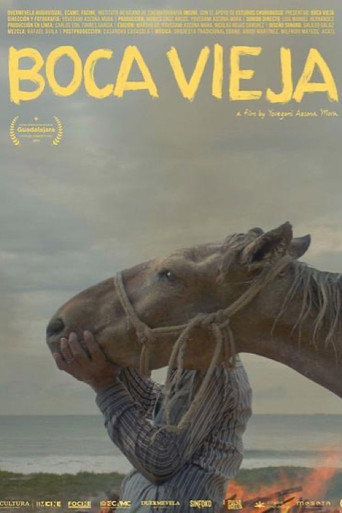 Boca Vieja