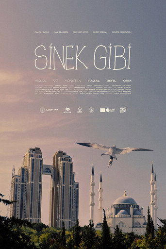 Sinek Gibi