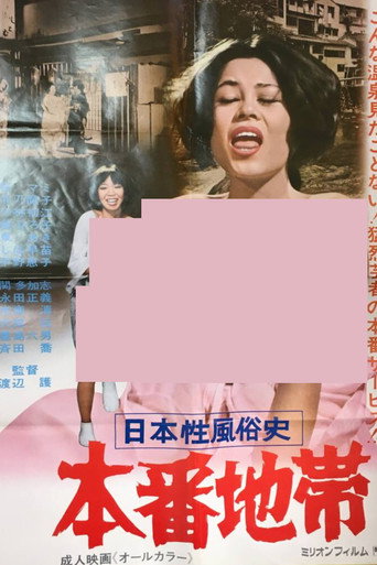 日本性風俗史 本番地帯