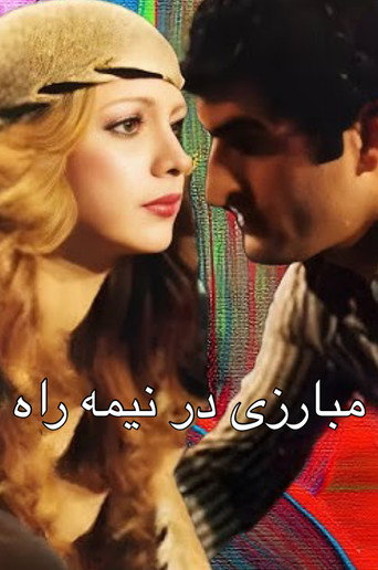 مبارزی در نیمه راه