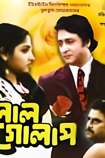 লাল গোলাপ
