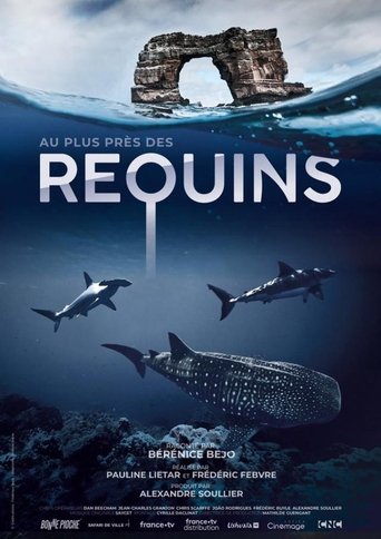 Tiburones de cerca