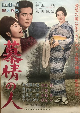 慕情の人