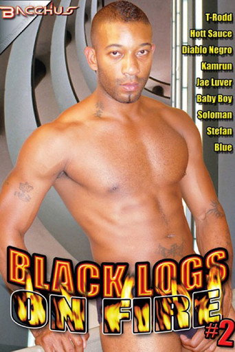 Black Logs on Fire 2