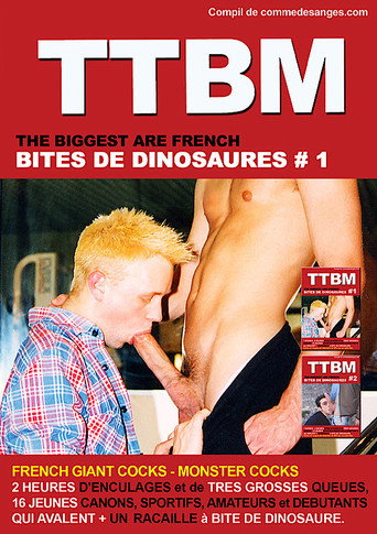 Bites de Dinosaures 1