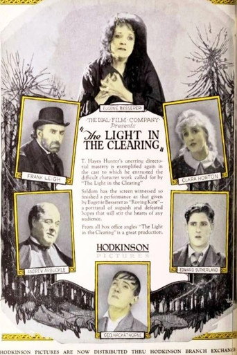 The Light in the Clearing