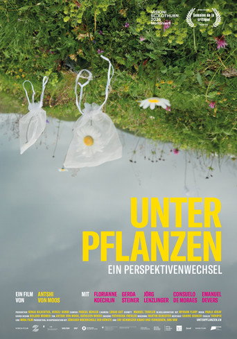 Unter Pflanzen – Ein Perspektivenwechsel