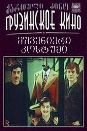 მშვენიერი კოსტუმი