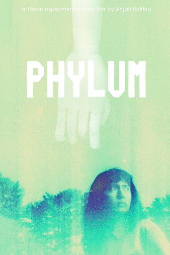 Phylum