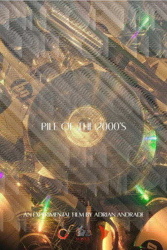 PILE OF THE 2000's