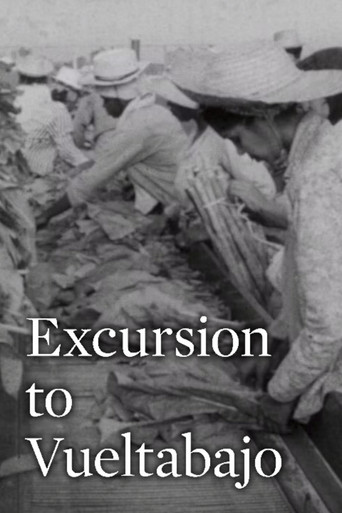 Excursión a Vueltabajo