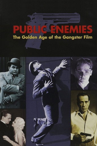 Enemigos públicos. La edad dorada del cine de gangsters