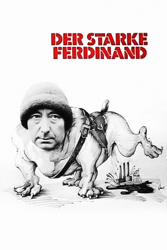 Fernando el radical