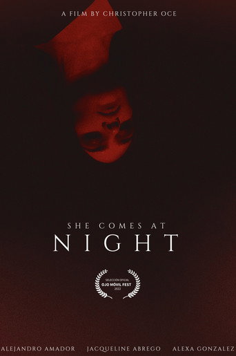 ELLA VIENE EN LA NOCHE