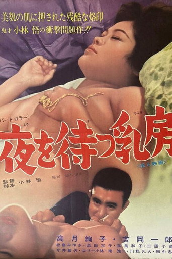夜を待つ乳房