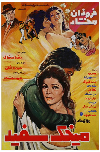 میخک سفید