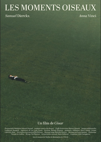 Les Moments Oiseaux