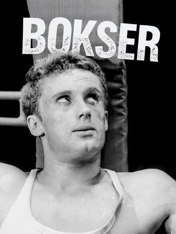 Bokser