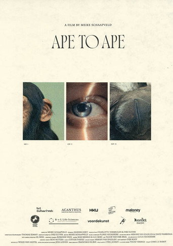 Aap tot Aap