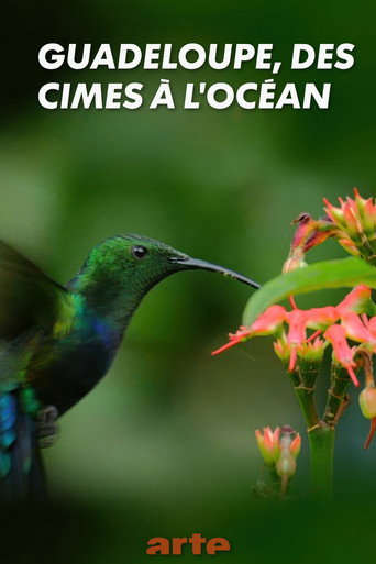 Guadeloupe, des cimes à l'océan